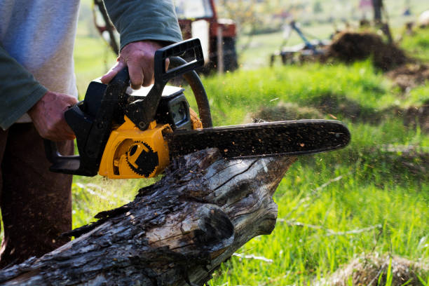 Mulching Services in Esperance, WA